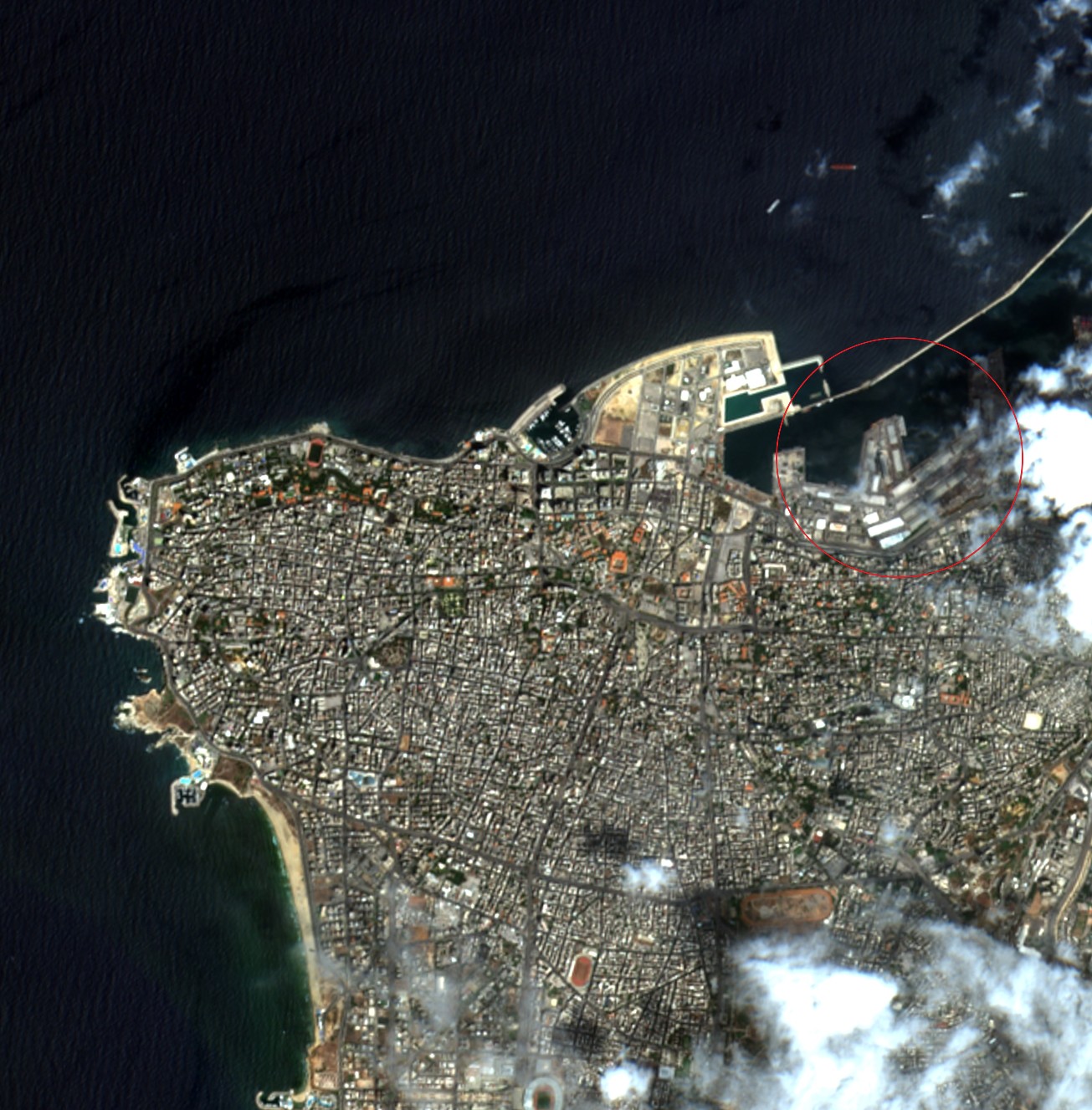 贝鲁特港影像图和人类建筑区域提取