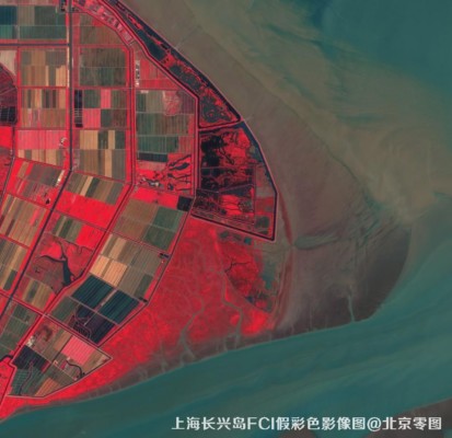 上海市长兴岛卫星多光谱影像图