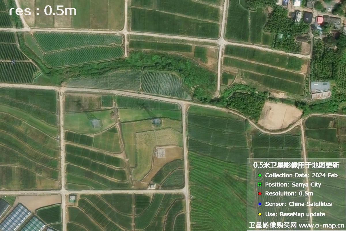 三亚地区2024年2月份0.5米分辨率农田地块卫星图