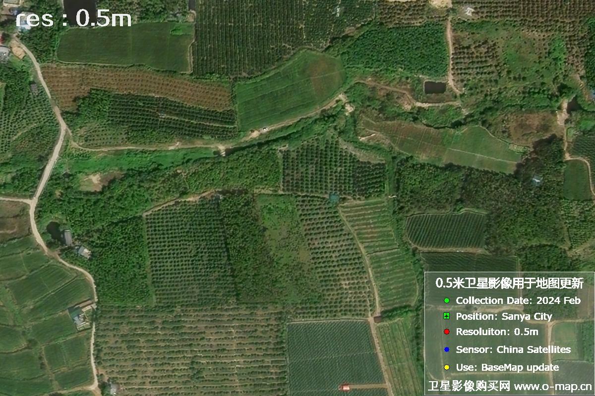三亚地区2024年2月份0.5米分辨率农田地块卫星图