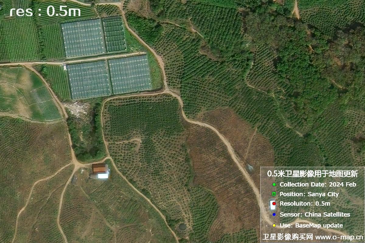 三亚地区2024年2月份0.5米分辨率农田地块卫星图