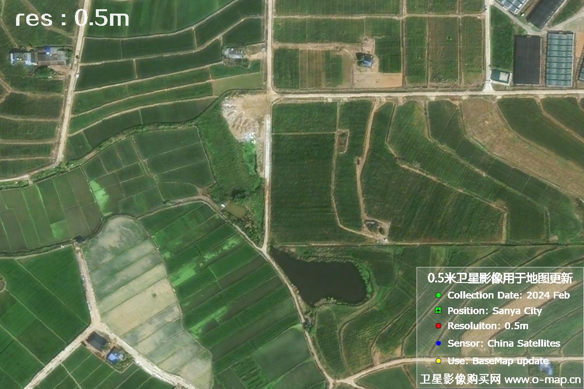 三亚地区2024年2月份0.5米分辨率农田地块卫星图