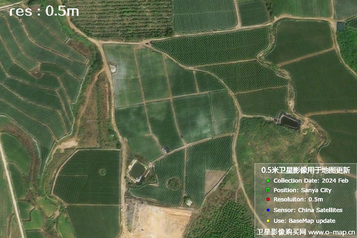 三亚地区2024年2月份0.5米分辨率农田地块卫星图