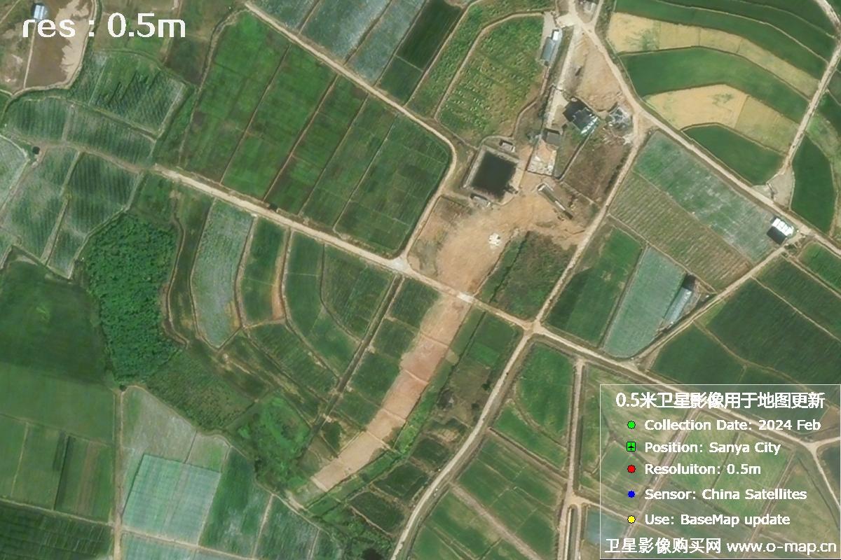 三亚地区2024年2月份0.5米分辨率农田地块卫星图