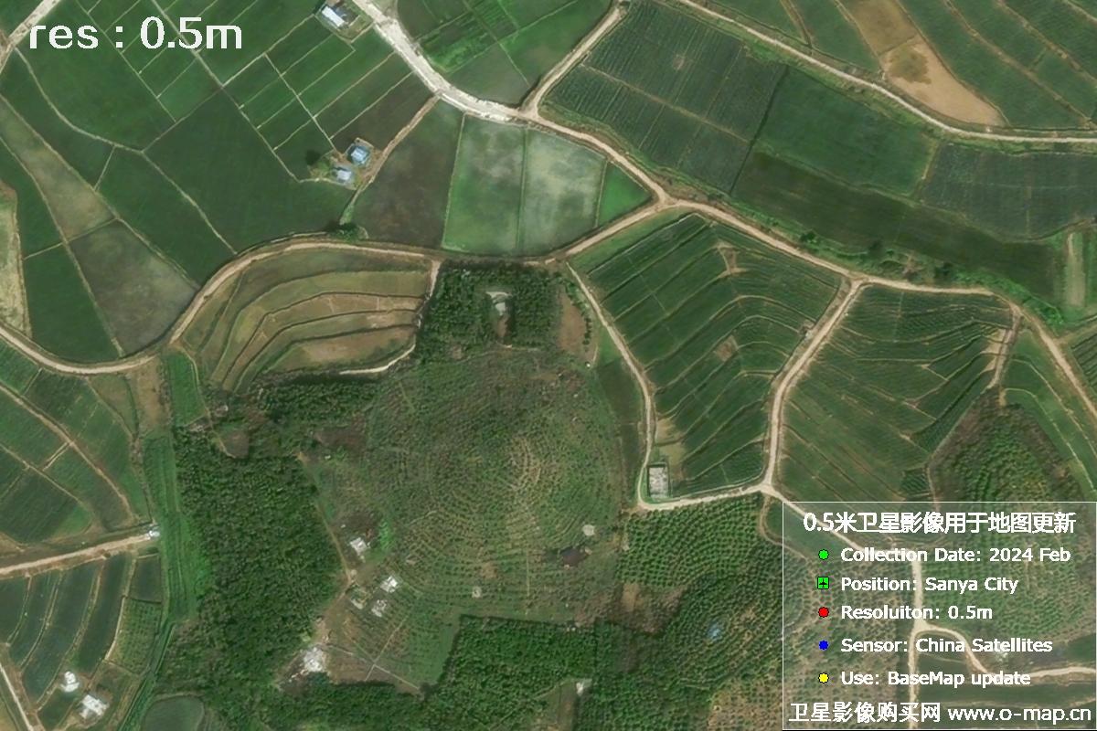 三亚地区2024年2月份0.5米分辨率农田地块卫星图