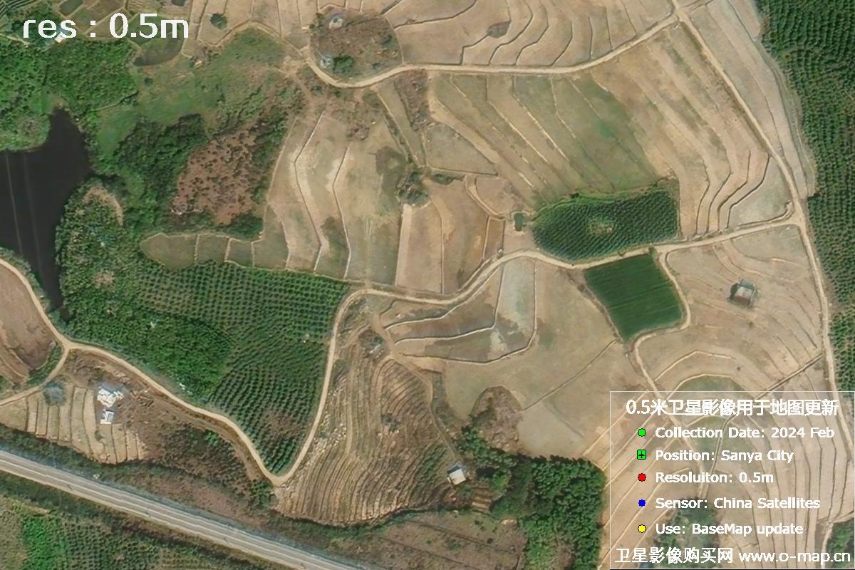 三亚地区2024年2月份0.5米分辨率农田地块卫星图