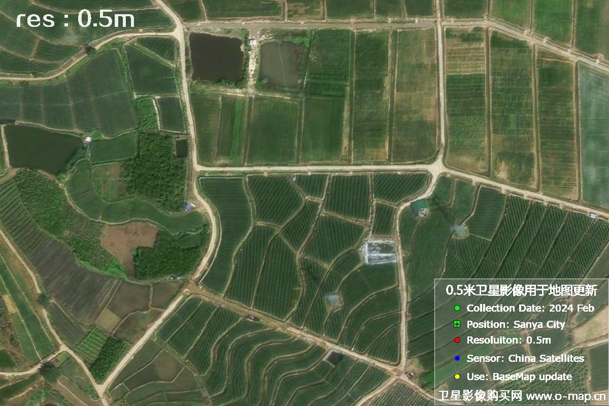 三亚地区2024年2月份0.5米分辨率农田地块卫星图