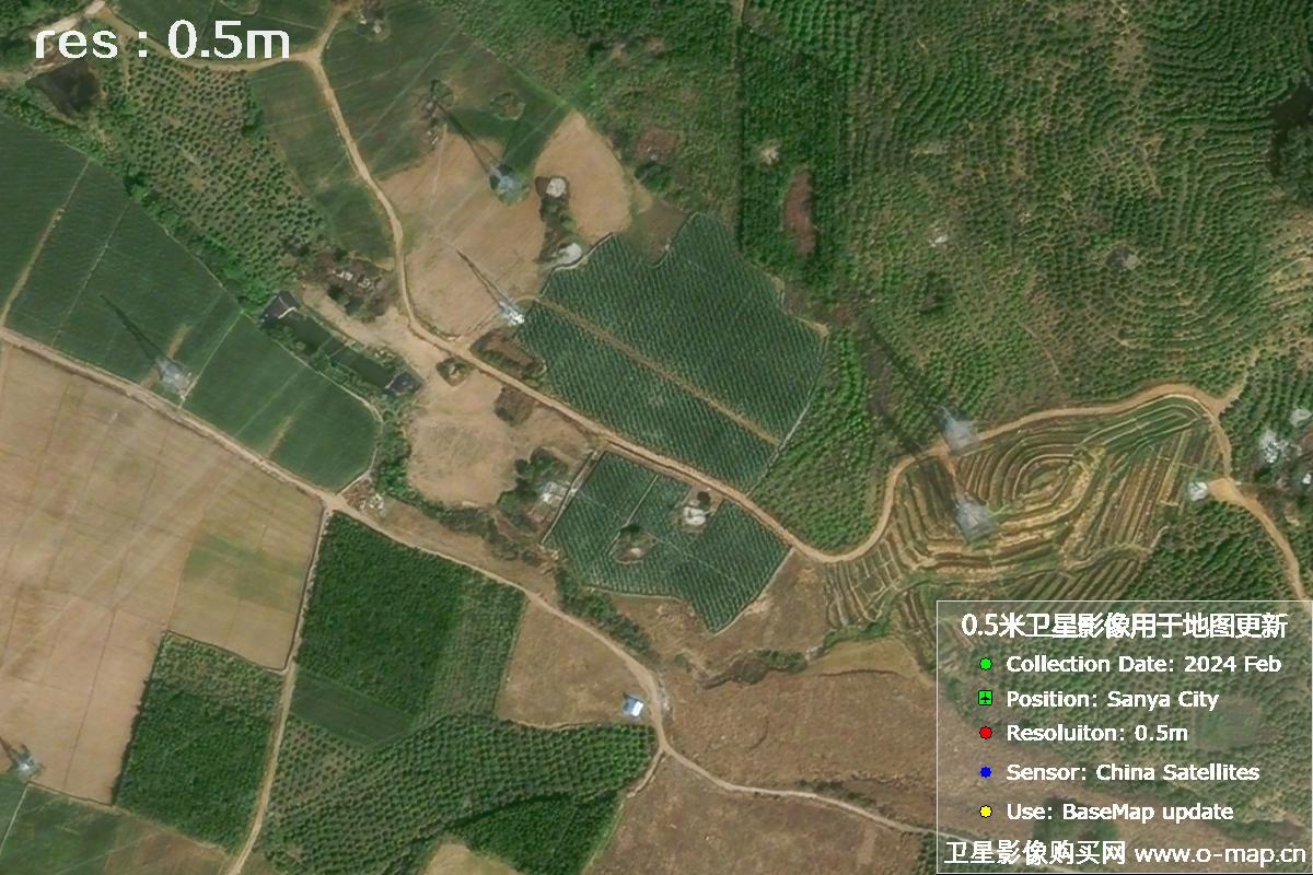 三亚地区2024年2月份0.5米分辨率农田地块卫星图