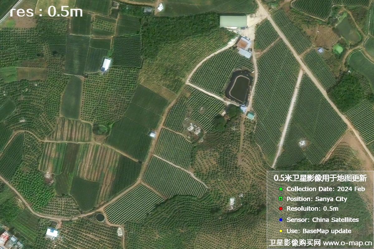 三亚地区2024年2月份0.5米分辨率农田地块卫星图