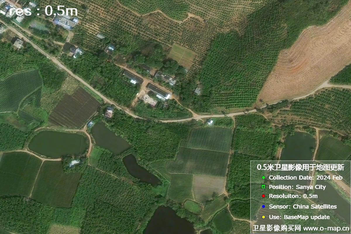 三亚地区2024年2月份0.5米分辨率农田地块卫星图