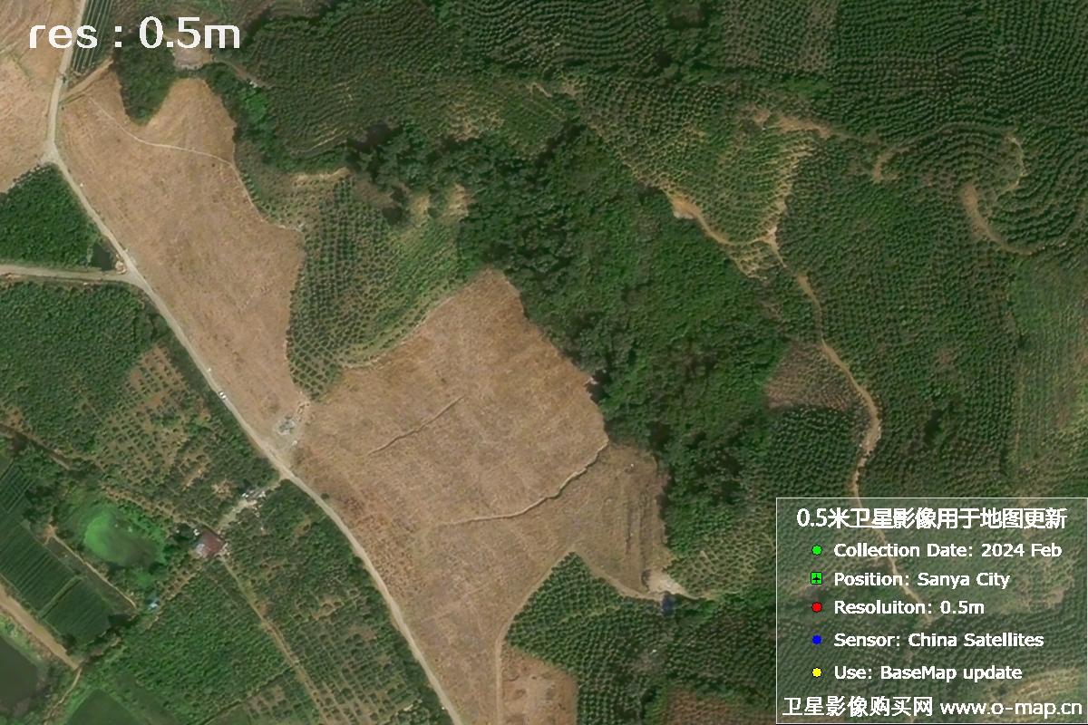 三亚地区2024年2月份0.5米分辨率农田地块卫星图