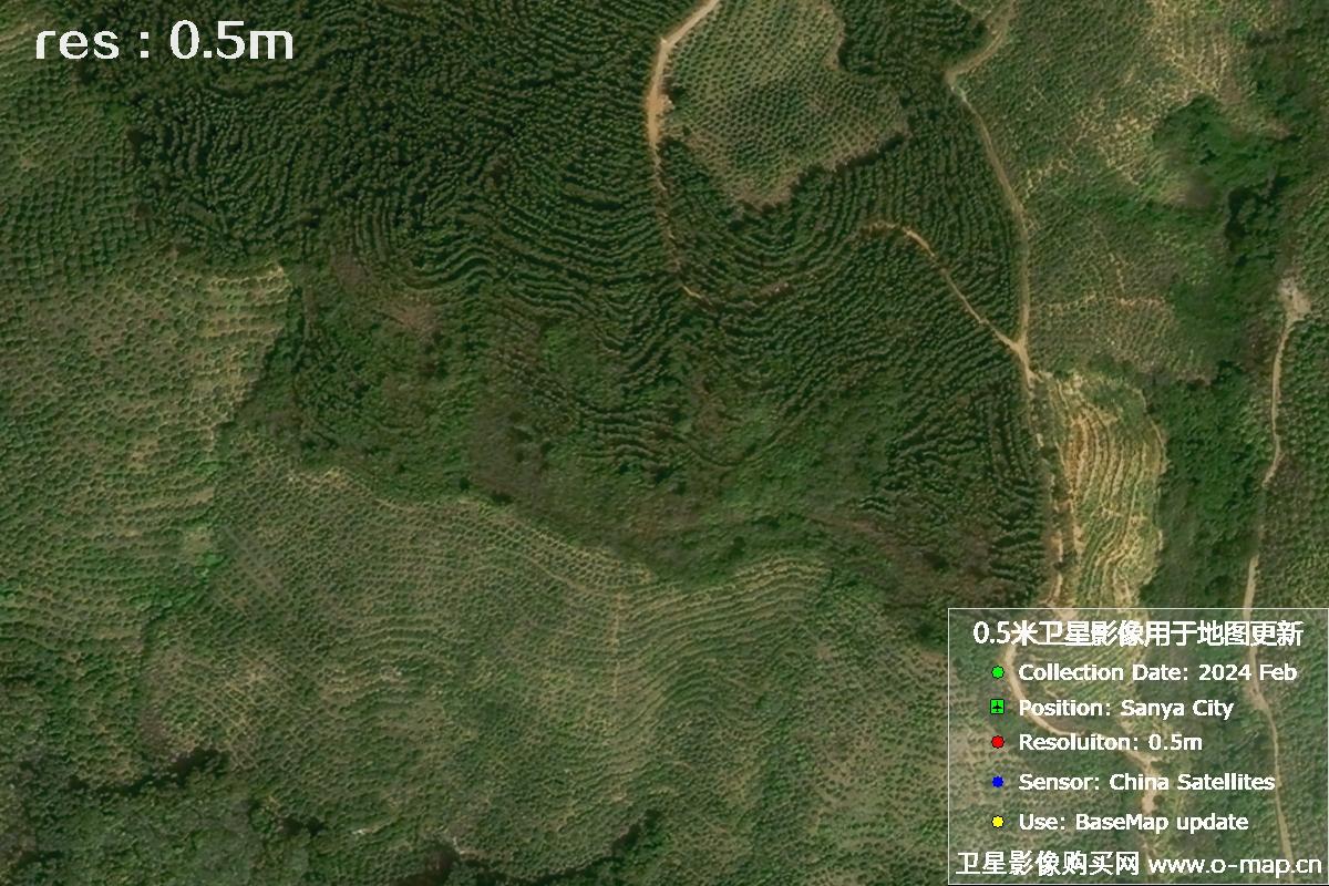 三亚地区2024年2月份0.5米分辨率农田地块卫星图