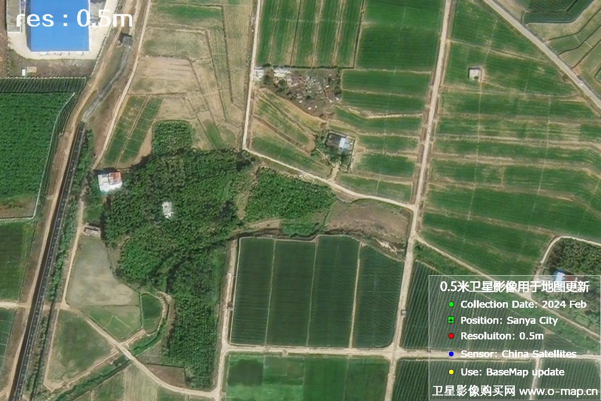 三亚地区2024年2月份0.5米分辨率农田地块卫星图