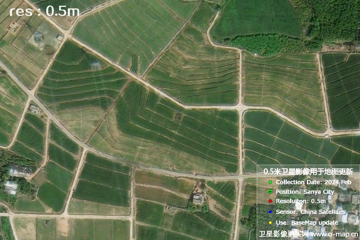 三亚地区2024年2月份0.5米分辨率农田地块卫星图