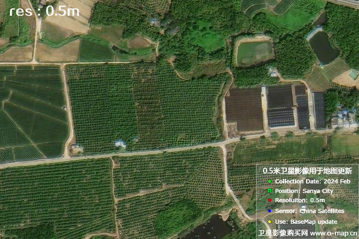 三亚地区2024年2月份0.5米分辨率农田地块卫星图