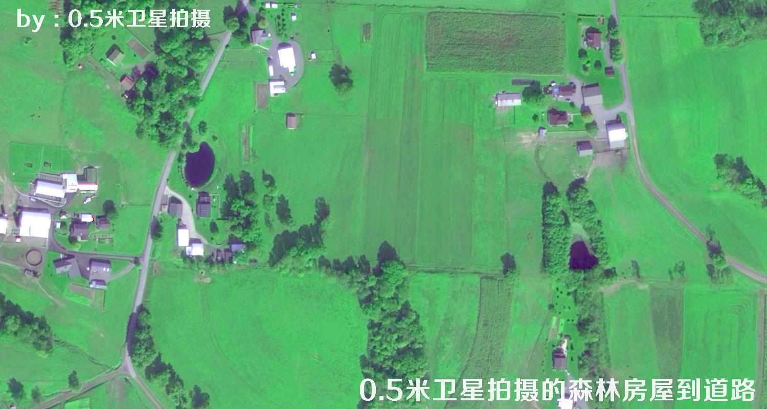 0.5米分辨率卫星拍摄的林地树林房屋以及道路卫星图