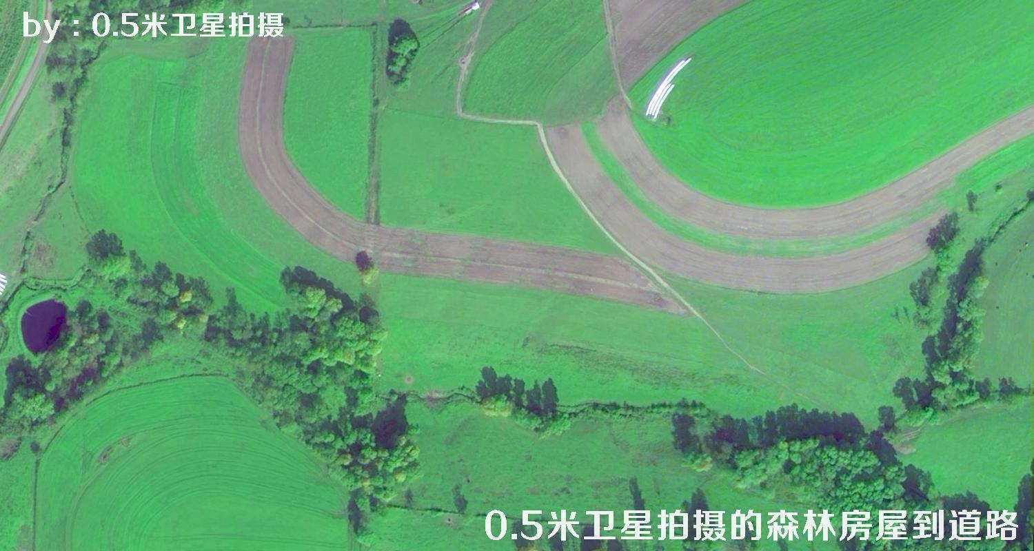 0.5米分辨率卫星拍摄的林地树林房屋以及道路卫星图