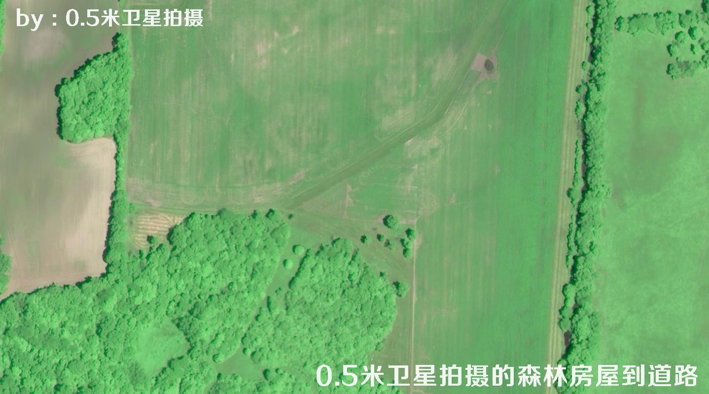 0.5米分辨率卫星拍摄的林地树林房屋以及道路卫星图