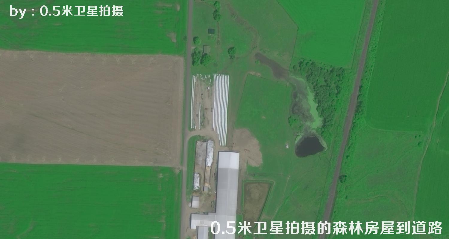 0.5米分辨率卫星拍摄的林地树林房屋以及道路卫星图
