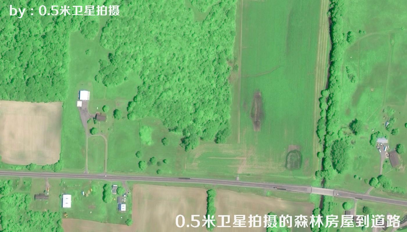0.5米分辨率卫星拍摄的林地树林房屋以及道路卫星图