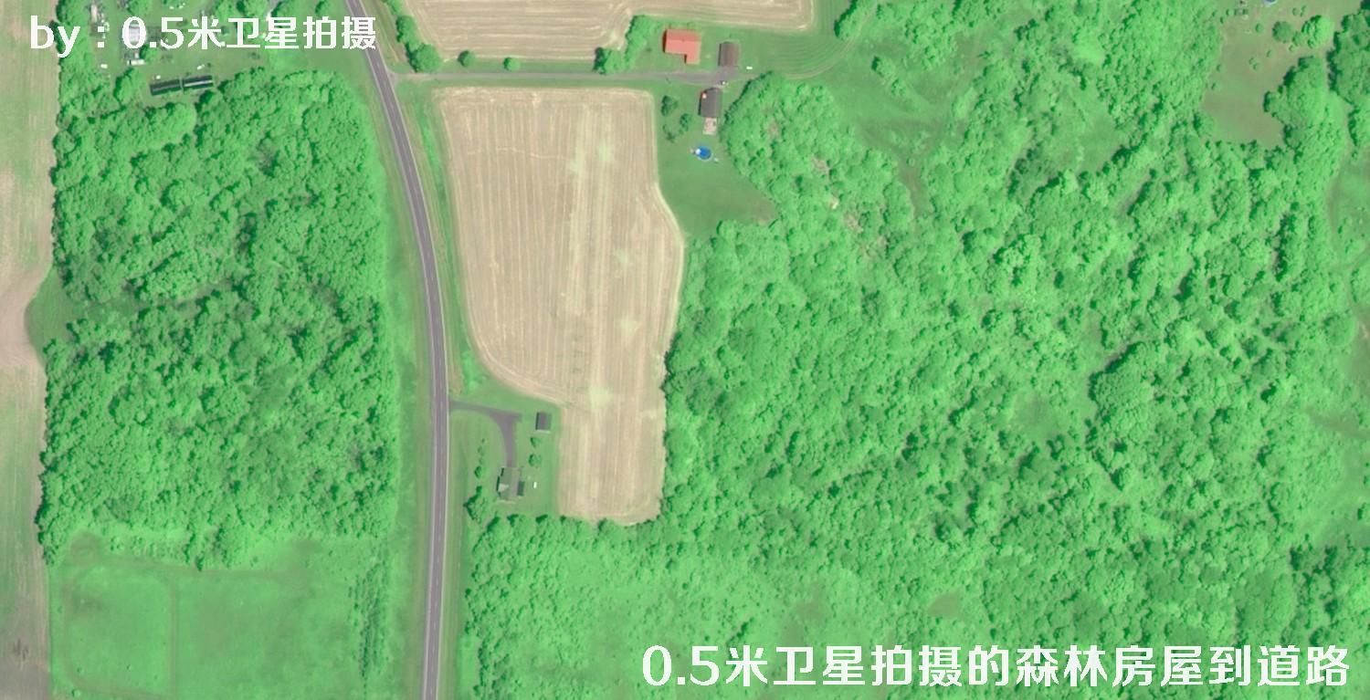 0.5米分辨率卫星拍摄的林地树林房屋以及道路卫星图