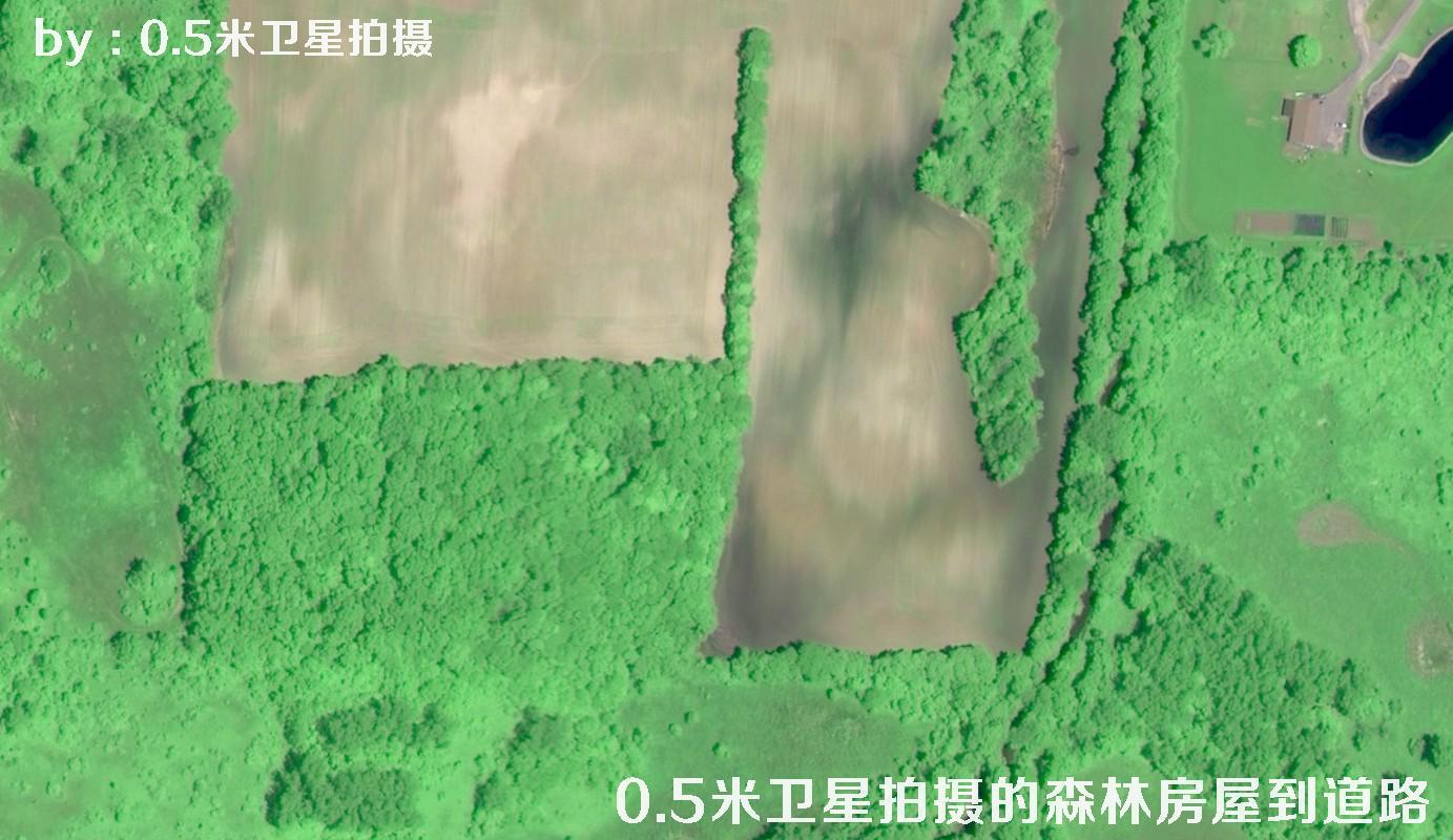 0.5米分辨率卫星拍摄的林地树林房屋以及道路卫星图