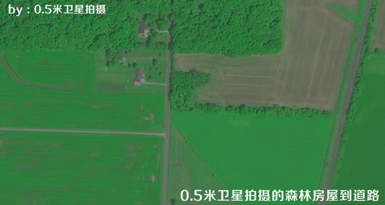 0.5米分辨率卫星拍摄的林地树林房屋以及道路卫星图