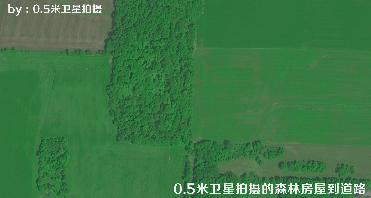 0.5米分辨率卫星拍摄的林地树林房屋以及道路卫星图
