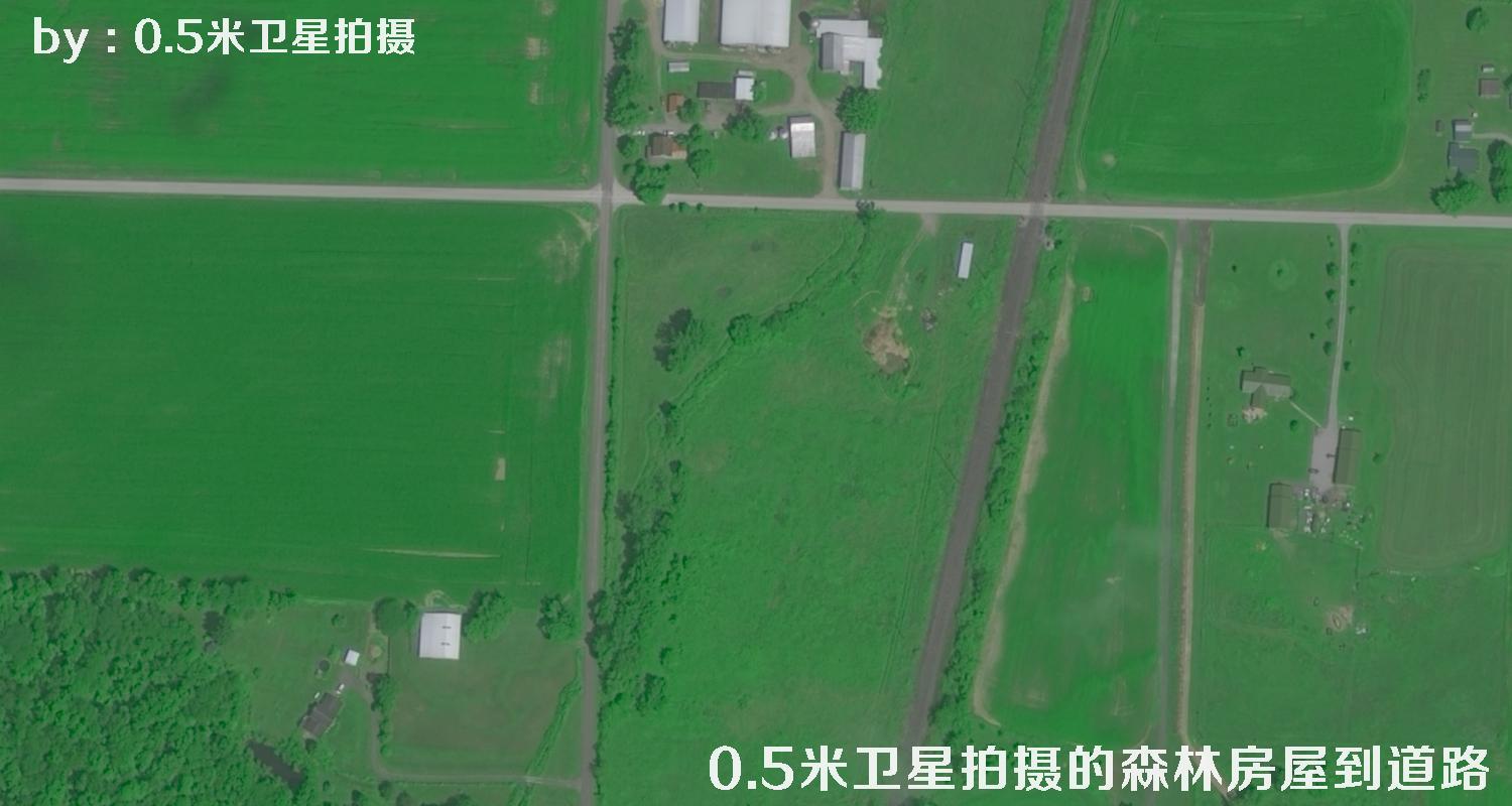 0.5米分辨率卫星拍摄的林地树林房屋以及道路卫星图