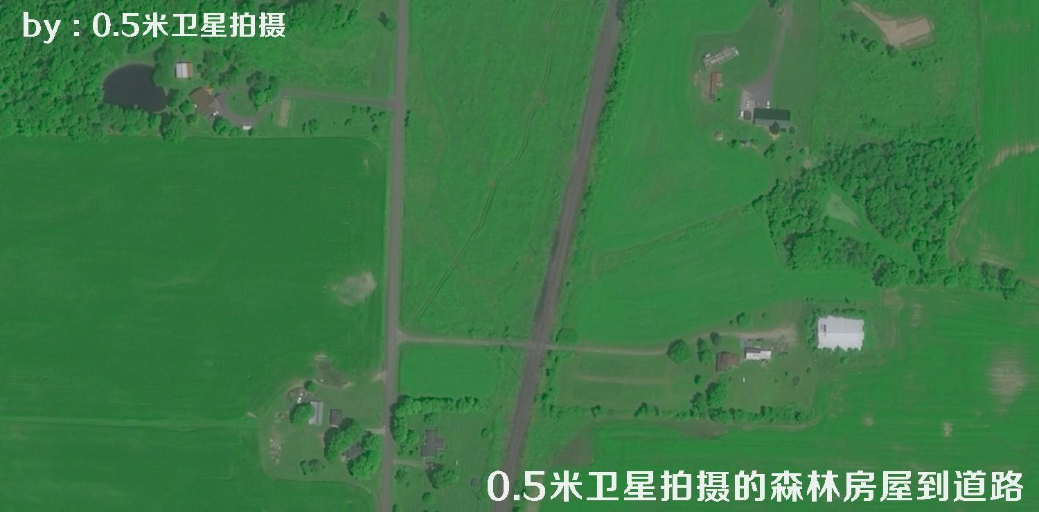 0.5米分辨率卫星拍摄的林地树林房屋以及道路卫星图