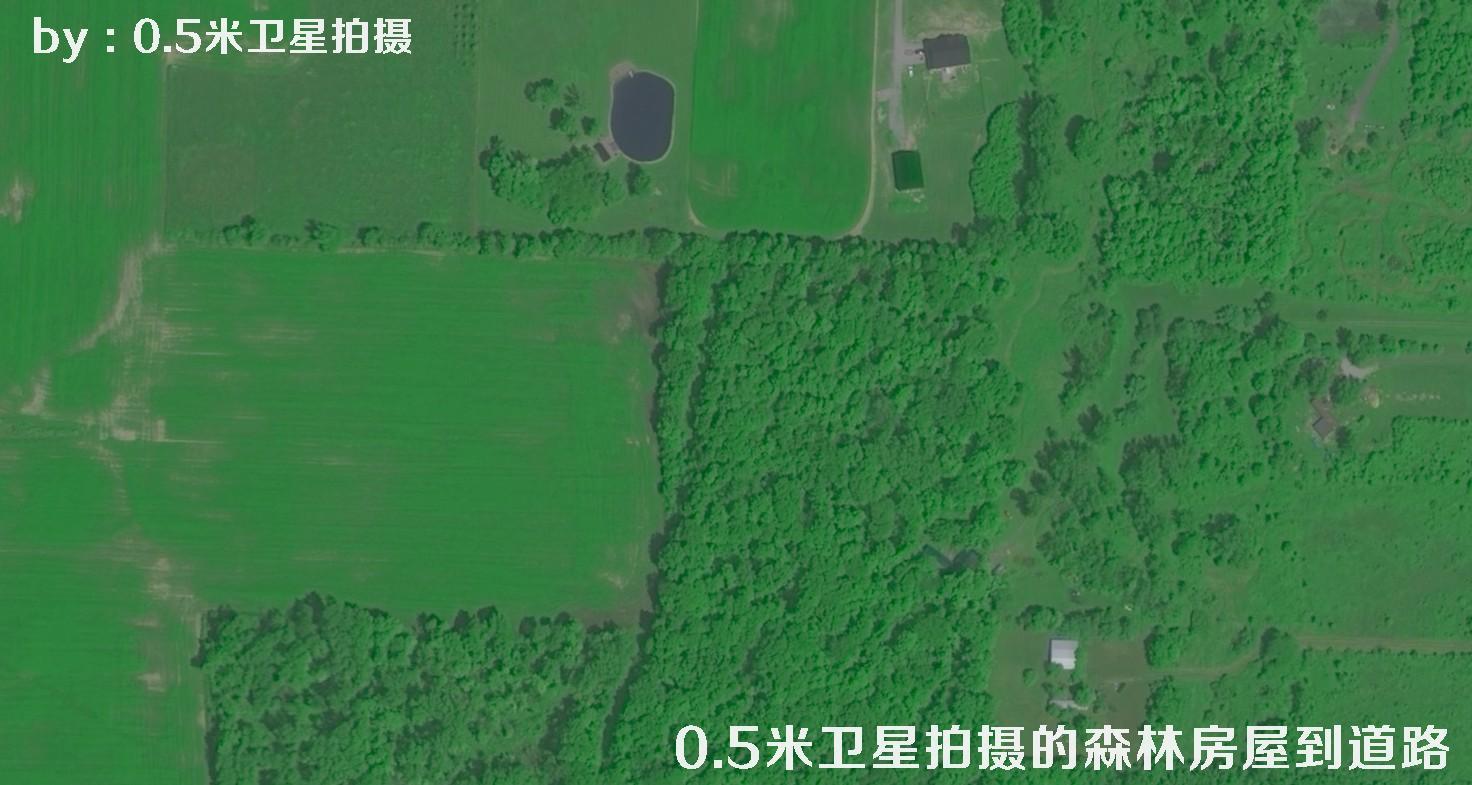 0.5米分辨率卫星拍摄的林地树林房屋以及道路卫星图