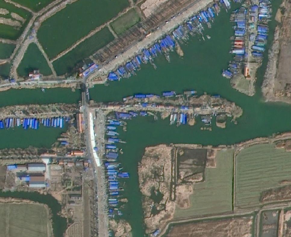 boats